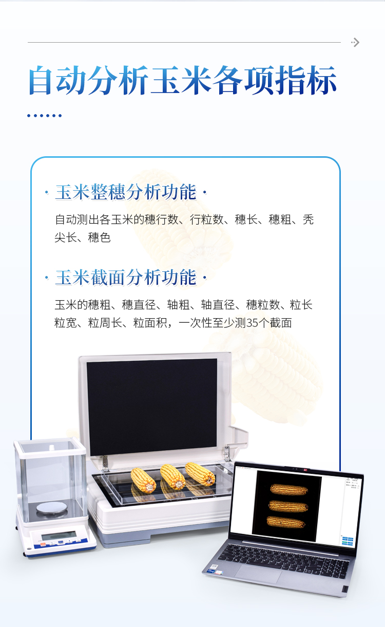 玉米考种分析系统