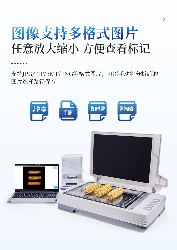 玉米考种分析系统