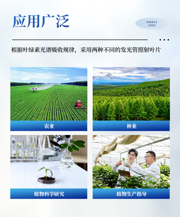 叶绿素测定仪