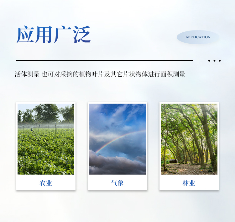 叶面积测定仪