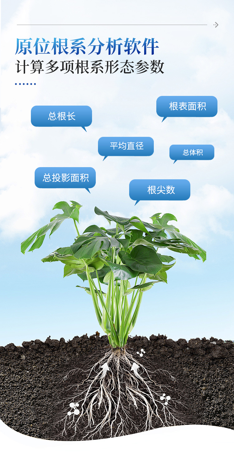 原位根系分析仪