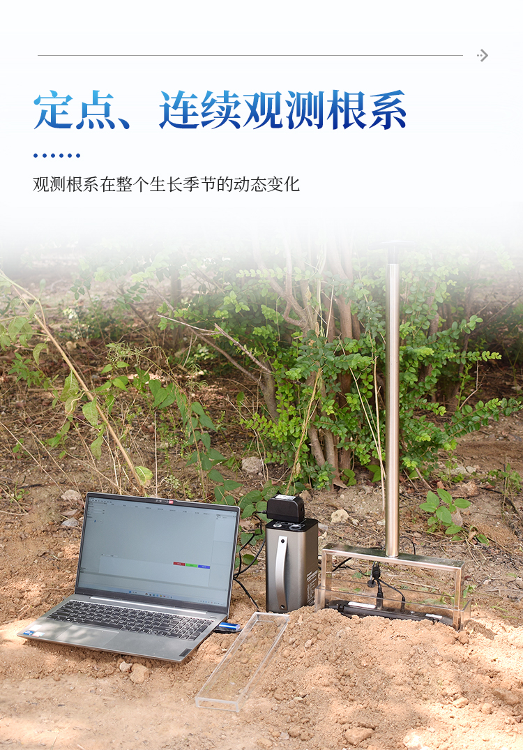 原位根系分析仪