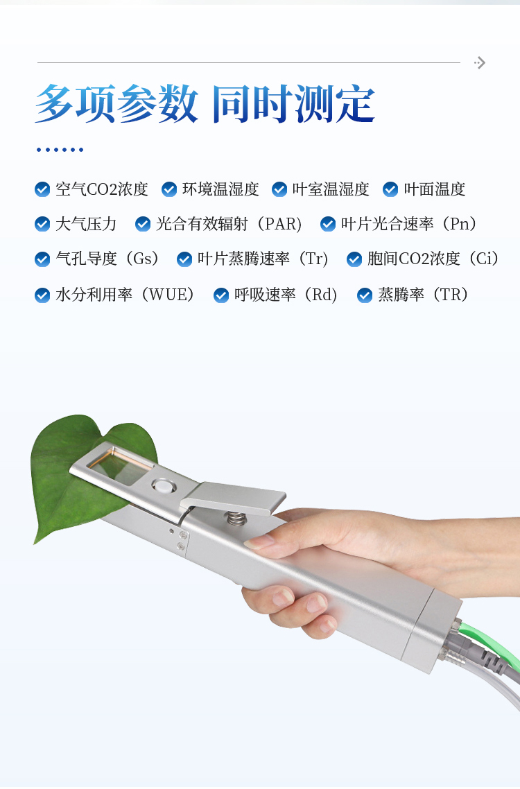 植物蒸腾速率测定仪