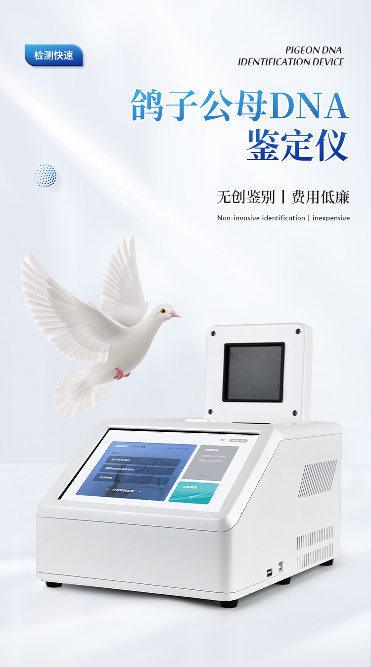鸽子公母DNA鉴定仪