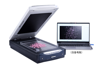 大米加工精度检测仪奠定现代大米工业品质控制与公平贸易的基石