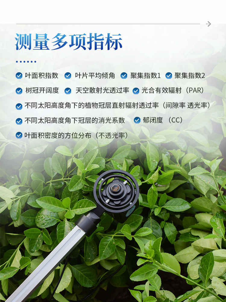冠层分析仪