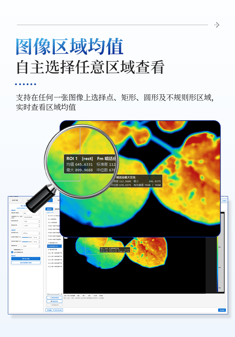 叶绿素荧光成像仪 叶绿素荧光成像仪