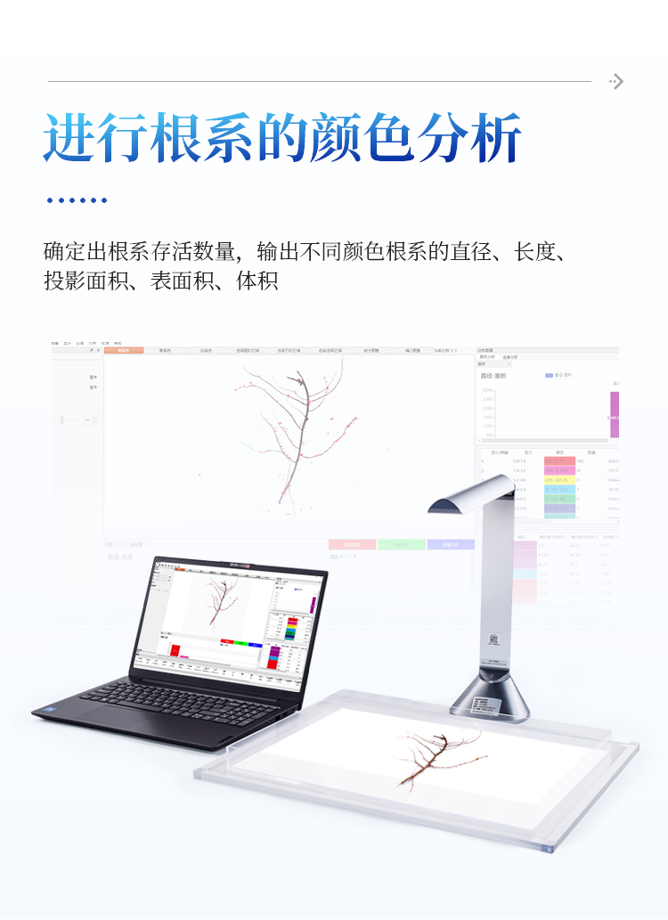 根系分析系统 根系分析系统